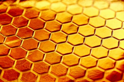 From Drab to Fab: Elevate Your Home Decor with Honeycomb Blinds
